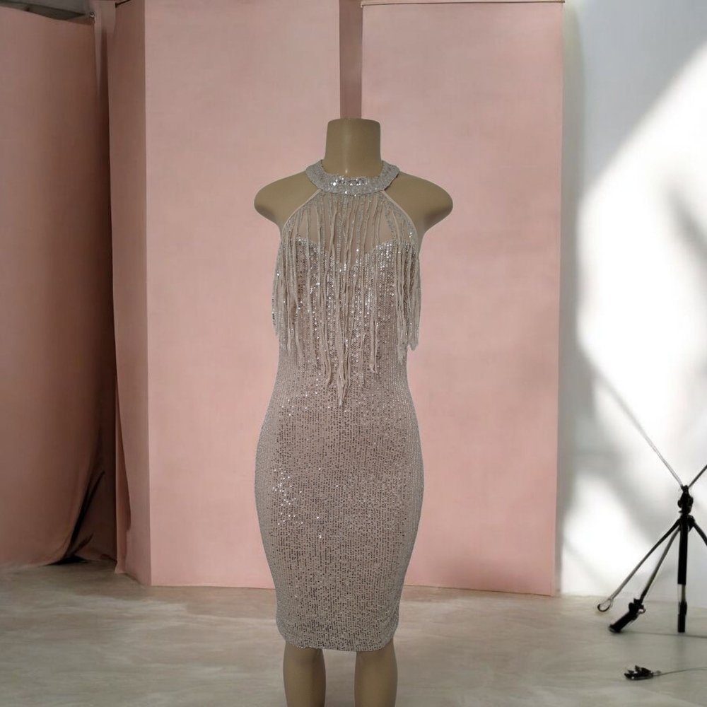 💋Elegant Silver Fringe Dress💋